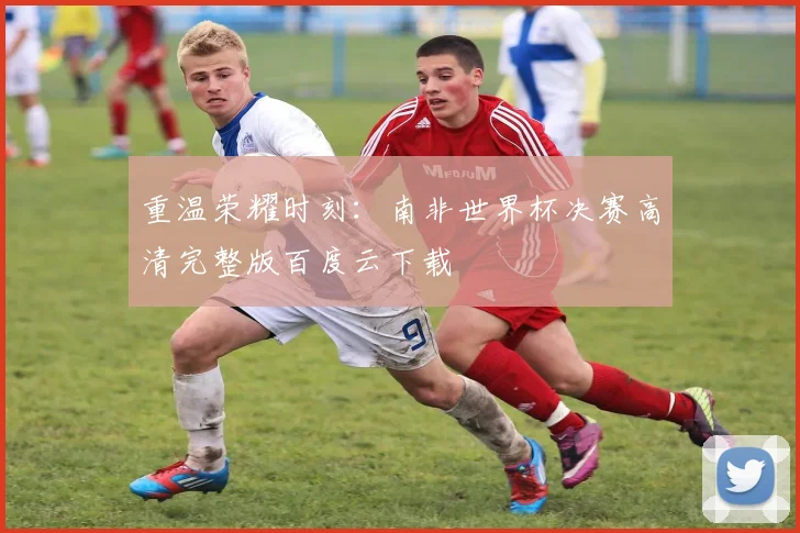 重温荣耀时刻：南非世界杯决赛高清完整版百度云下载
